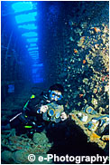 Wreck of the President Coolidge, Vanuatu (S . Pacific )