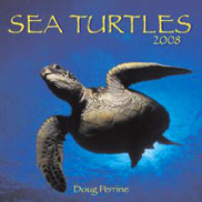 Turtle book